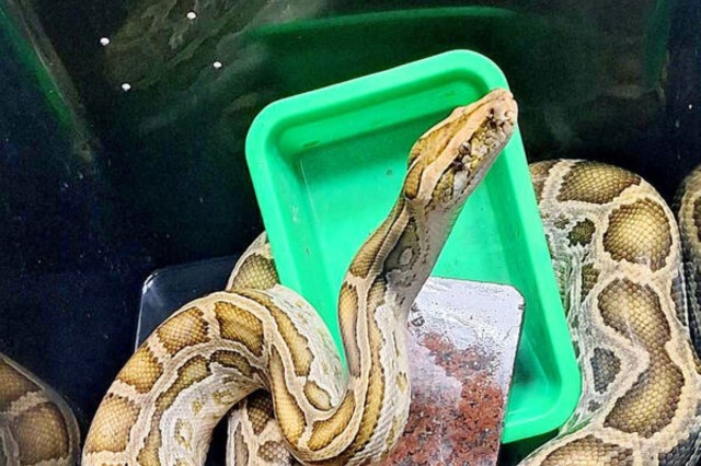 "This approach is unacceptable."