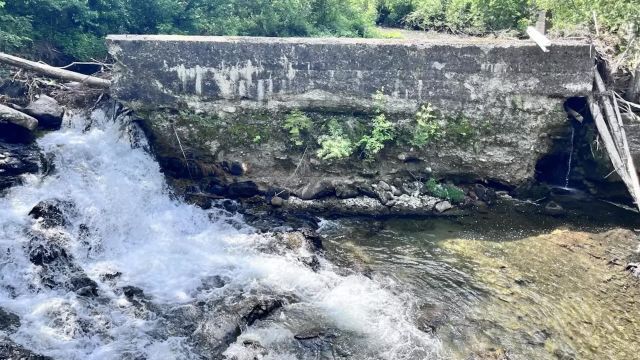 It’s too soon to have lasting data on the impact of the Washburn Dam’s removal, but one thing is for sure right now.