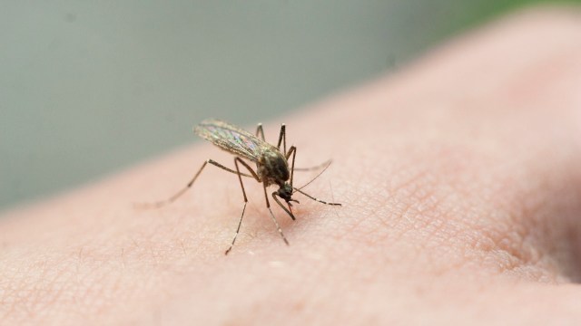 Officials urged residents to take preventive measures.