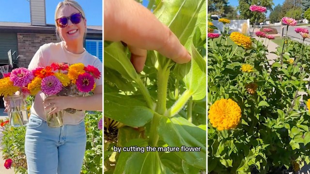 "You just inspired me."