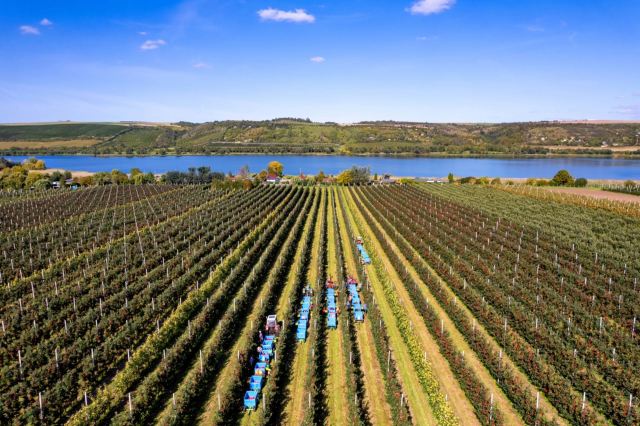 "We shouldn’t take the delicious apples we love to consume for granted."