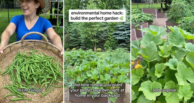 "THE best garden ever."