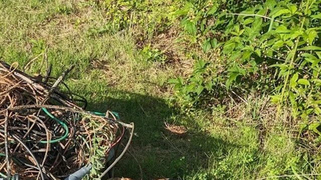 "I immediately got angry ... then I thought, why is it any worse than a landfill?"