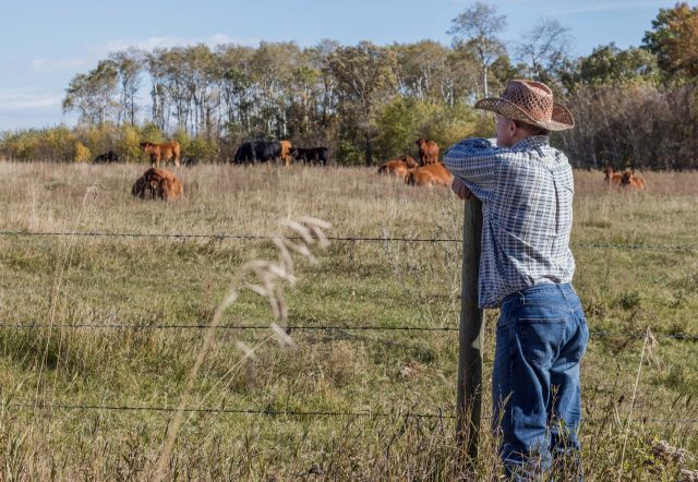 "Not enough coverage of the dangers."