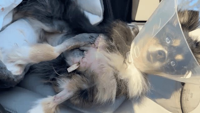 "He deserves so much credit."