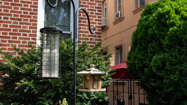 "That's not gonna go anywhere.”