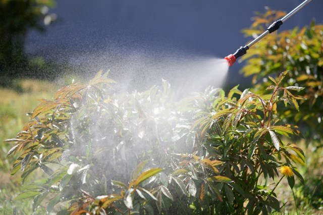 The discussion also turned to liability.