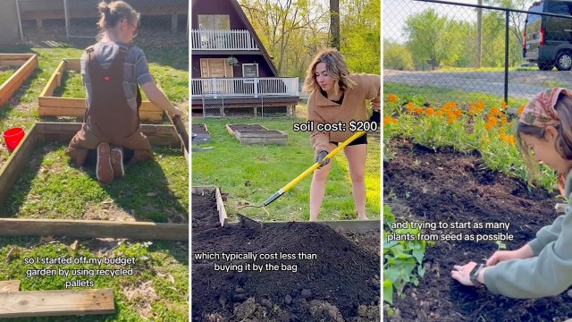 "My garden might not look as glamorous as some of the others on the internet ..."