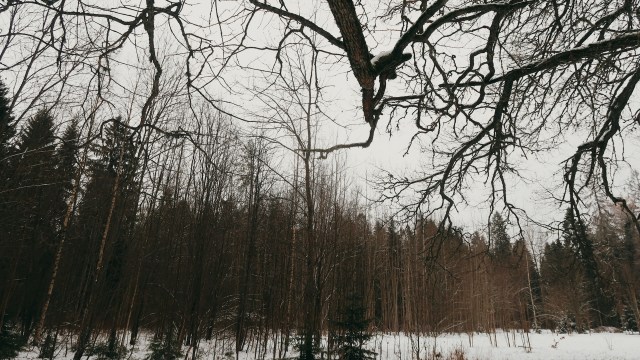 "If this happens, there will be no new [ones]."