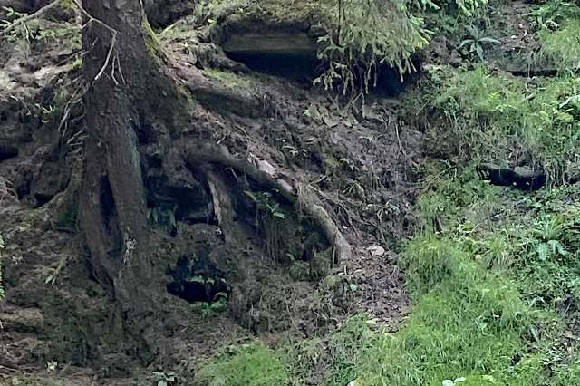 "That’s just profoundly depressing."