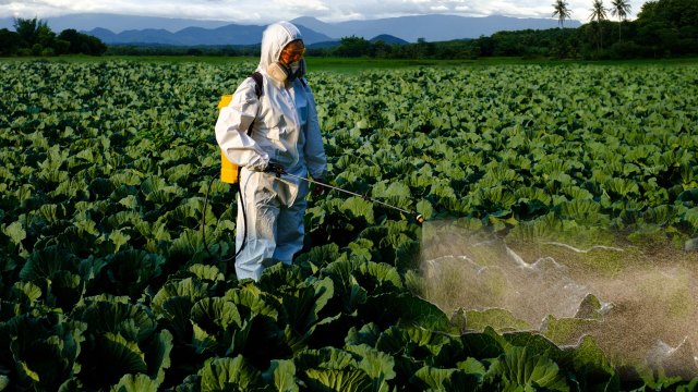 "We apply pesticides without fully understanding their effects."