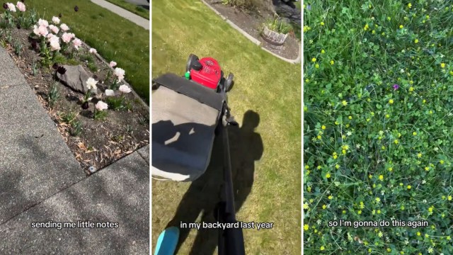 “I was sick of my HOA sending me little notes that my lawn is not green enough."