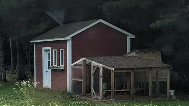 "Looks so soft and fluffy!"