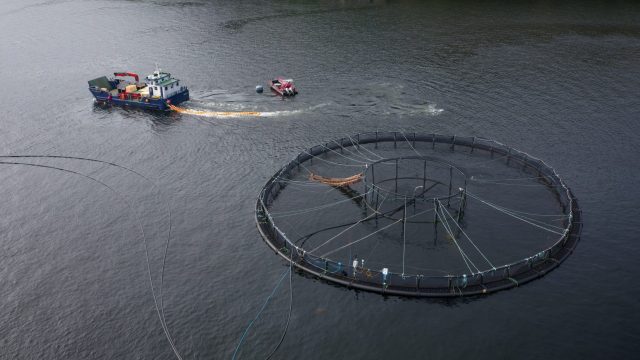 "No one can say these facilities don't have an impact."