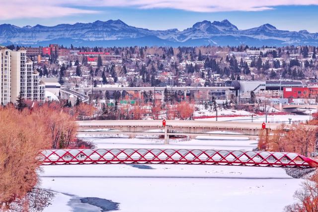 Local police have tried combatting this problem.