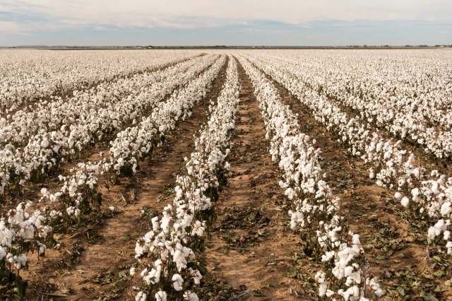 "What used to be a luxury is now a necessity for modern farming."