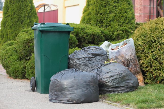 "They'll probably be too embarrassed to do it again."