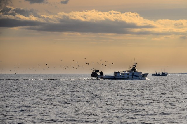 "This is at the heart of the difficult compromise between exploitation and protection."