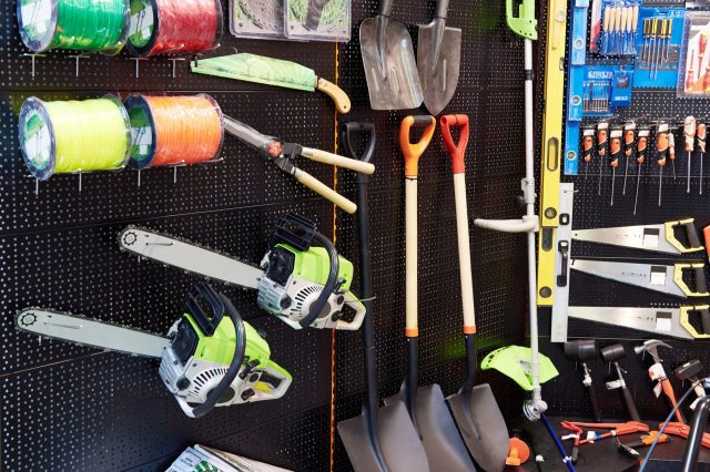 "This little guy rips!"