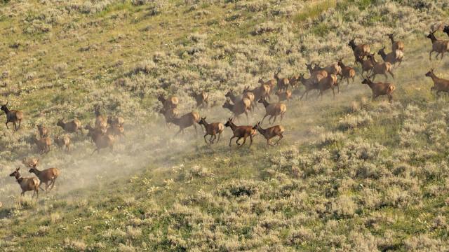 “It’s important that new crossings are built."