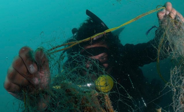 "A waste of resources."