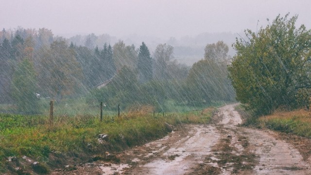 Climatologists warn the world will likely experience even more severe swings in weather and climate patterns going forward.