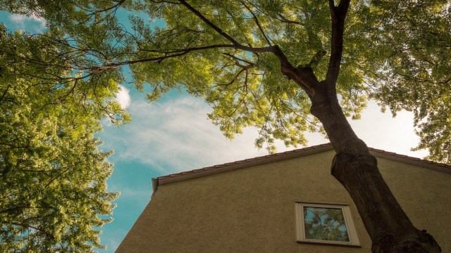 "Yeah, y’all are way too nice."