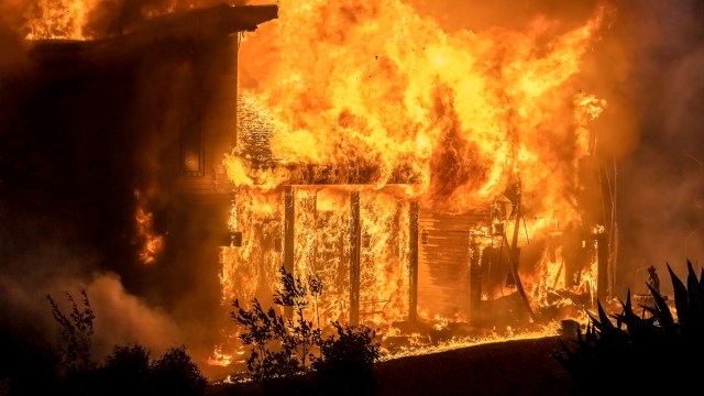 The Palisades Fire was one of four simultaneous wildfires that burned in Southern California.