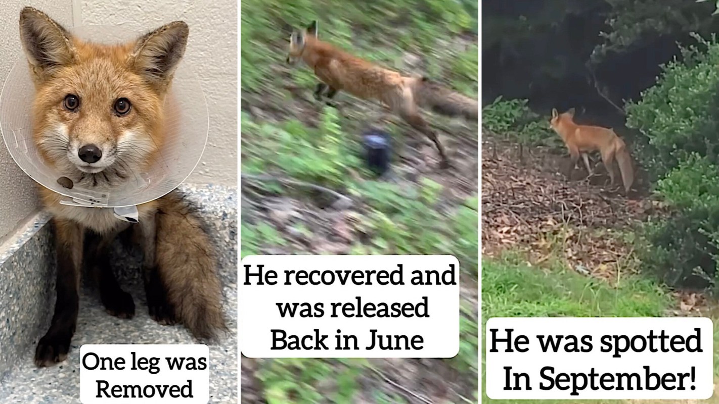 "He is thriving thanks to you and this wonderful organization!"