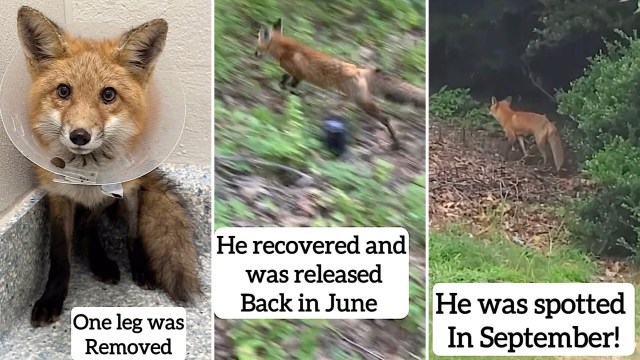 "He is thriving thanks to you and this wonderful organization!"