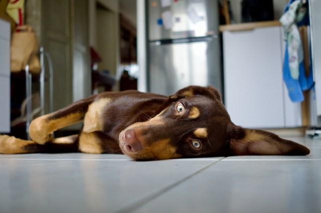 "This happened to me!"