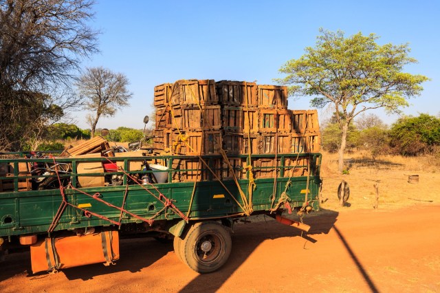 Social media and growing affluence in the most populous country on Earth is contributing to an increase in the illegal trade.