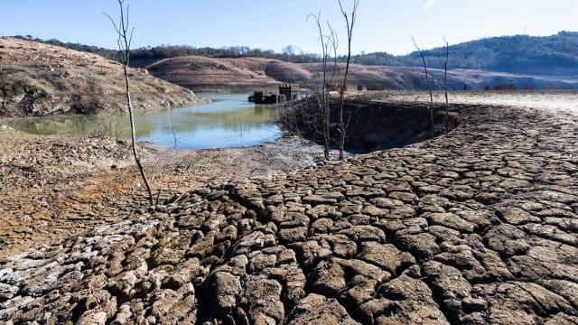 "We have elevated the land and drought agenda beyond sector-specific discussions."