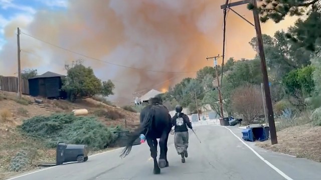 "This was so brave."