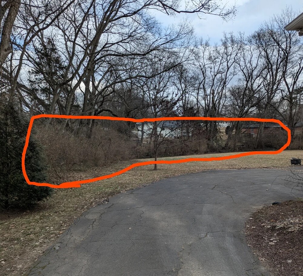 It is all around the back boundary of the property.