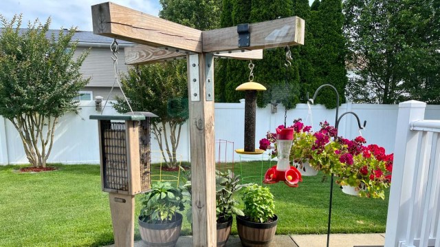 "On behalf of pigeons everywhere, I'm filing a discrimination suit!"