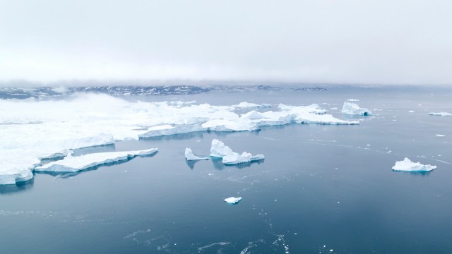 The study fills critical knowledge gaps.