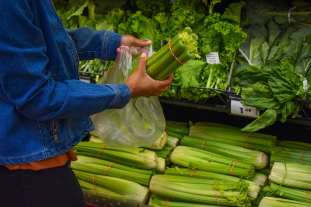 The decision has frustrated advocates who spent over a year working to get the ban on the ballot.