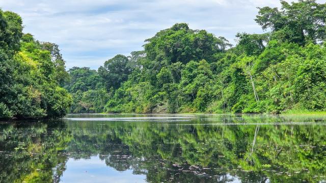 "This Reserve is one of the most important places."