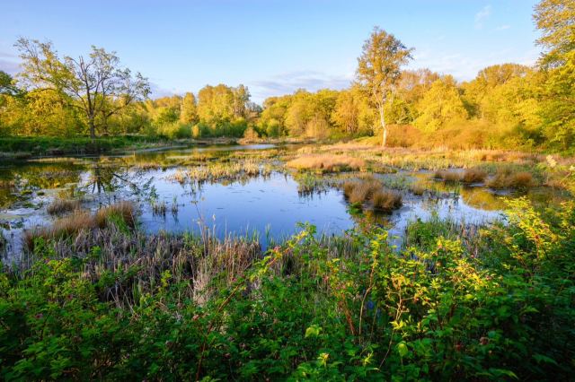 “To destroy pristine [habitat] and wildlife is just unconscionable.”
