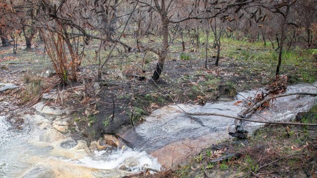 Public health advisories like this one inform residents and help keep them safe.