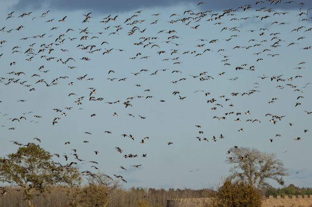 It could help farmers save their crops while making room for wildlife.