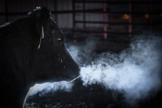 "It's the big storms combined with the cold that lead to higher negative results."