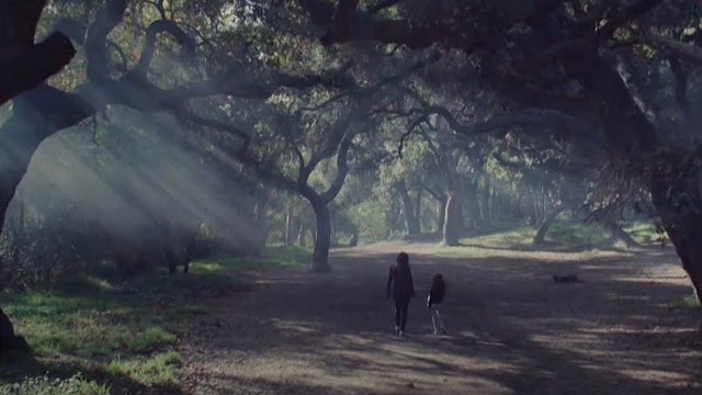 "This message needs to be everywhere."