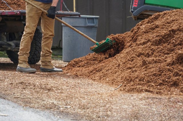 Everything must look the same throughout the neighborhood … or else.