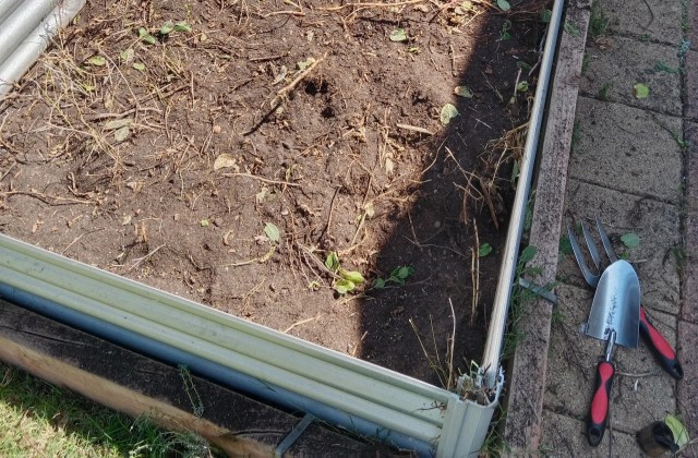 "It's the mint's house now."