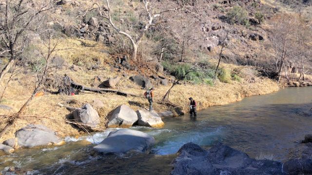 "Continued restoration within Fossil Creek is expected to occur to maintain this initial investment of time and resources."