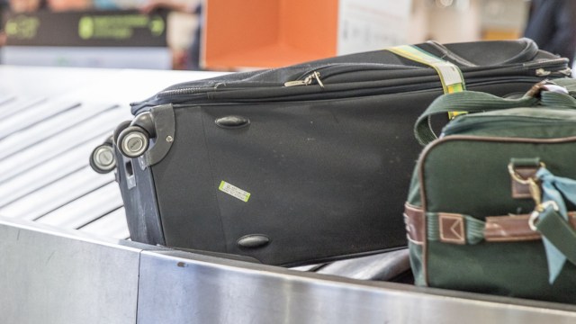 Authorities said it was believed to belong to a protected species, though they didn’t specify which one.