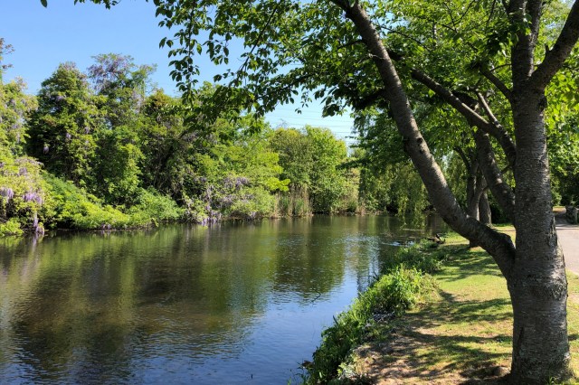 If he fails to comply, he will be fined another $75,000.