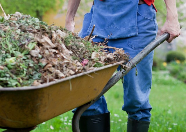 "These ... are an easy way to rewild your yard."